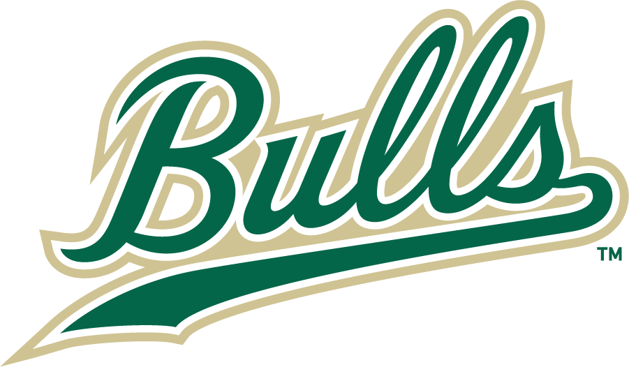 South Florida Bulls 2022-Pres Wordmark Logo diy DTF decal sticker